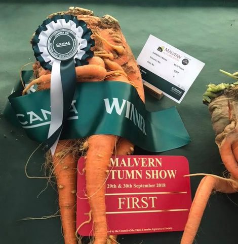 Biggest carrot grown under Spectrum King LED